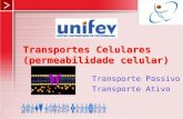 Transporte Passivo Transporte Ativo Transportes Celulares (permeabilidade celular)