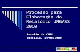 Processo para Elaboração do Relatório UNGASS 2010 Reunião da CAMS Brasília, 14/08/2009.