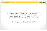 CAPACITAÇÃO DE COMBATE AO TRABALHO INFANTIL Foz do Iguaçu – Novembro de 2012.