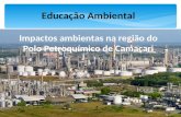 Educação Ambiental Impactos ambientas na região do Polo Petroquímico de Camaçari.