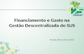 Financiamento e Gasto na Gestão Descentralizada do SUS Brasília, 08 de julho de 2013.
