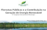 Florestas Públicas e a Contribuição na Geração de Energia Renovável - 6º Congresso Internacional de Bioenergia - Curitiba, Agosto de 2011 Marcus Vinicius.