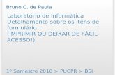 Laboratório de Informática Detalhamento sobre os itens de formulário (IMPRIMIR OU DEIXAR DE FÁCIL ACESSO!) 1º Semestre 2010 > PUCPR > BSI Bruno C. de Paula.