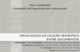 VISUALIZAÇÃO DA LIGAÇÃO SEMÂNTICA ENTRE DOCUMENTOS Orientador / Co-Orientador : Prof. Dr. Carlos Miguel Tobar Toledo Presidente da Banca: Prof. Dr. Carlos.