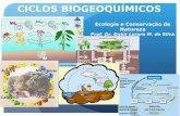 CICLOS BIOGEOQUÍMICOS Ecologia e Conservação da Natureza Prof. Dr. Dakir Larara M. da Silva.