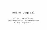 Reino Vegetal Filos: Briófitas, Pteridófitas, Gimnopermas e Angiospermas.