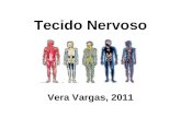 Tecido Nervoso Vera Vargas, 2011. Sistema Nervoso Central –Encéfalo –Medula espinhal Sistema Nervoso Periférico Epitélio Sensorial do olho, ouvido e nariz.