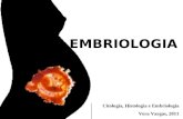 EMBRIOLOGIA Citologia, Histologia e Embriologia Vera Vargas, 2011.