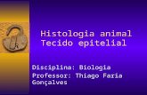 Histologia animal Tecido epitelial Disciplina: Biologia Professor: Thiago Faria Gonçalves.
