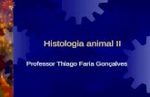 Histologia animal II Professor Thiago Faria Gonçalves.