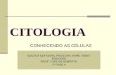 CITOLOGIA CONHECENDO AS CÉLULAS ESCOLA ESTADUAL ANGELINA JAIME TEBET BIOLOGIA PROF: CARLOS ROBERTO 1ª FASE A.