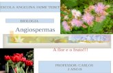 Angiospermas A flor e o fruto!!! ESCOLA ANGELINA JAIME TEBET PROFESSOR: CARLOS 2 ANO B BIOLOGIA.