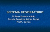 SISTEMA RESPIRATÓRIO 2ª fase Ensino Médio Escola Angelina Jaime Tebet Profº. Carlos.