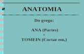 ANATOMIA Do grego: ANA (Partes) + TOMEIN (Cortar em,)