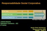 Responsabilidade Social Corporativa Paula Chies Schommer Março a Junho 2009 (Slides – Parte I) UDESC/ESAG Balneário Camboriu – SC 6º termo SUSTENTABILIDADE.