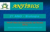 2º ANO - Biologia ANFÍBIOS Profª Marcia Conceição de Souza Silva .