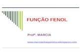 FUNÇÃO FENOL Profª. MARCIA .