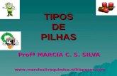 TIPOS DE PILHAS Profª MARCIA C. S. SILVA .