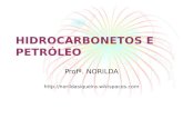 HIDROCARBONETOS E PETRÓLEO Profª. NORILDA .