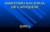 DIRETÓRIO NACIONAL DE CATEQUESE (DNC) DNC É a adaptação à REALIDADE DO BRASIL DO DIRETÓRIO GERAL para a catequese de João Paulo II de 1997.