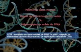 PCR - consiste em fazer cópias de DNA in vitro, usando os elementos básicos do processo de replicação natural do DNA.