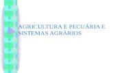 AGRICULTURA E PECUÁRIA E SISTEMAS AGRÁRIOS. AGRICULTURA Na pré-históriaNa idade média.