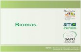 Biomas. Mapa dos Biomas O Brasil, quinto país do mundo em extensão territorial, ocupa 5,7% das terras emersas do planeta. Foi o primeiro signatário da.
