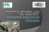 Escola Básica Dr. Correia Mateus – Leiria 8º Ano - Ciências Naturais Prof. Fernando Martins.