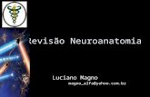 Revisão Neuroanatomia Luciano Magno magno_alfa@yahoo.com.br.