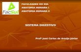 FACULDADES DO SUL ANATOMIA HUMANA I ANATOMIA HUMANA II SISTEMA DIGESTIVO Prof 0 José Carlos de Araújo Júnior.
