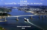 SIAB Sistema de Informação da Atenção Básica Simone Lacerda Poton 2010.