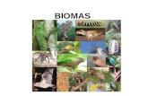 BIOMAS. BIOMA Podemos definir bioma como um conjunto de ecossistemas que funcionam de forma estável. Um bioma é caracterizado por um tipo principal de.