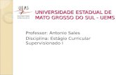 UNIVERSIDADE ESTADUAL DE MATO GROSSO DO SUL - UEMS Professor: Antonio Sales Disciplina: Estágio Curricular Supervisionado I.