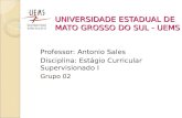 UNIVERSIDADE ESTADUAL DE MATO GROSSO DO SUL - UEMS Professor: Antonio Sales Disciplina: Estágio Curricular Supervisionado I Grupo 02.