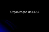 Organização do SNC Profª Diane Luce Bonito Profª Diane Luce Bonito.