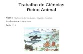 Trabalho de Ciências Reino Animal Nome: Guilherme, Junior, Lucas, Maycon, Jonathan. Professora: Kelly e Yone. Série: 7º A.