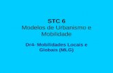 STC 6 Modelos de Urbanismo e Mobilidade Dr4- Mobilidades Locais e Globais (MLG)