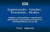 SIG Organização: Funções, Processos, Níveis Objetivo: contextualizar a organização descrevendo suas funções, processos e a interdependência com os SIs.