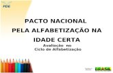 PACTO NACIONAL PELA ALFABETIZAÇÃO NA IDADE CERTA Avaliação no Ciclo de Alfabetização.