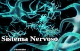 Sistema Nervoso. Tecido nervoso Principal tecido do sistema nervoso Tipos celulares: -Neurônios – condução de impulsos nervosos -Células da Glia – manutenção.