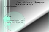 Caroço de Jaca no ciberespaço: Novo ambiente para o aprendizado Grupo: Geovanna Adya C. Dantas Luana Ellen Inocencio.