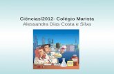 Ciências/2012- Colégio Marista Alessandra Dias Costa e Silva.