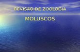 REVISÃO DE ZOOLOGIA MOLUSCOS. CARACTERÍSTICAS GERAIS Mollusca (do latim mollis = mole) Concha, constituída de carbonato de cálcio (CaCO3) Glândulas mucosas.