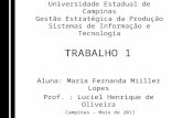 Universidade Estadual de Campinas Gestão Estratégica da Produção Sistemas de Informação e Tecnologia Aluna: Maria Fernanda Miiller Lopes Prof. : Luciel.