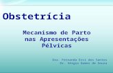 Mecanismo de Parto nas Apresentações Pélvicas Obstetrícia Dra. Fernanda Erci dos Santos Dr. Sérgio Gomes de Souza.