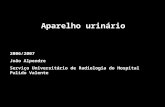 Aparelho urinário 2006/2007 João Alpendre Serviço Universitário de Radiologia do Hospital Pulido Valente.