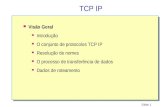 Slide 1 TCP IP Visão Geral Introdução O conjunto de protocolos TCP IP Resolução de nomes O processo de transferência de dados Dados de roteamento.