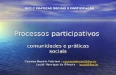 Processos participativos comunidades e práticas sociais DCC-7 PRÁTICAS SOCIAIS E PARTICIPAÇÃO Carmen Beatriz Fabriani - carmenfabriani@fae.brcarmenfabriani@fae.br.