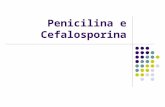 Penicilina e Cefalosporina. Penicilina Instabilidade da Penicilina (I) O sistema biciclico é composto por 2 anéis um de 4 e outro de 5 membros, pelo.