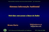 LEA-Sistemas de Informação em Ambiente FCT, Maio de 2000 Base de Dados e Web Sites com Acesso a Bases de Dados por Bruno Horta Web Sites com acesso a.